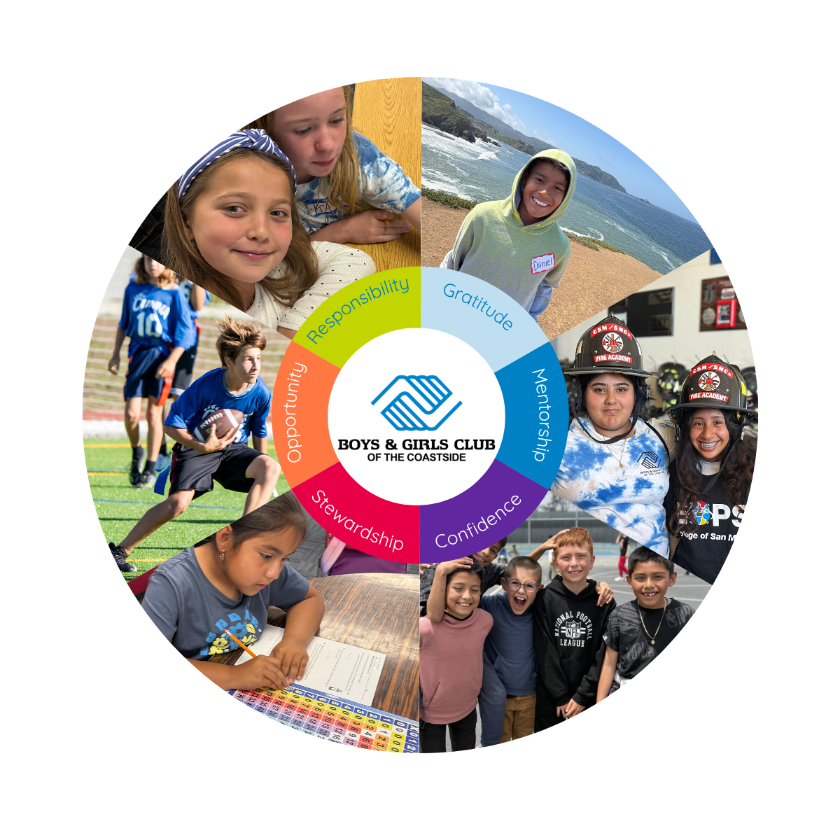 Impact Report Icon